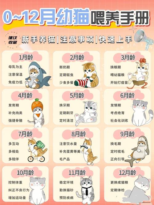 阴阳师猫罐头获取攻略大全:教你如何轻松获取游戏内的珍贵猫罐头资源
