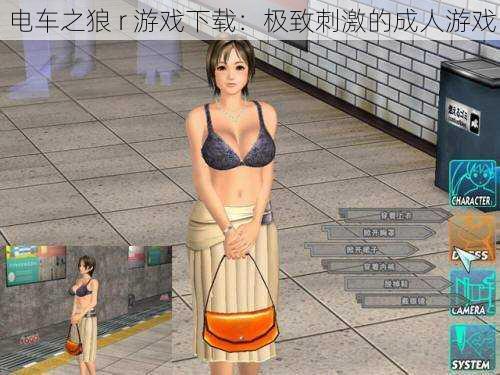电车之狼 r 游戏下载:极致刺激的成人游戏