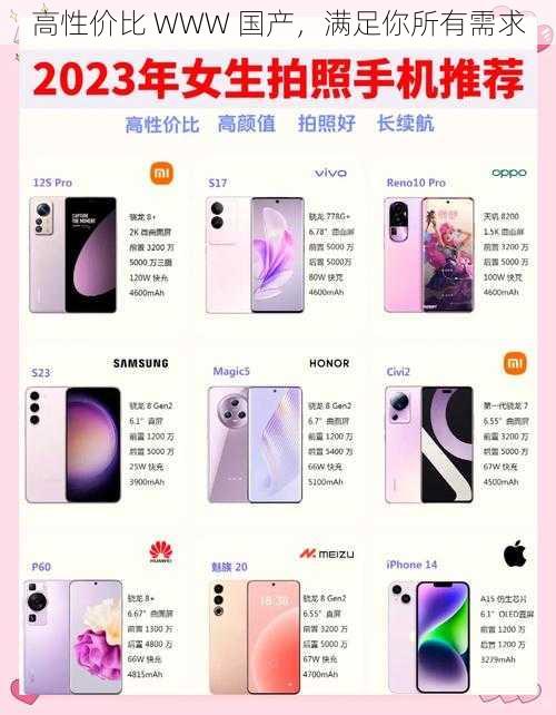 高性价比 WWW 国产,满足你所有需求