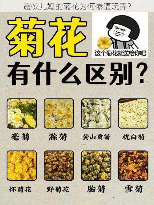 震惊儿媳的菊花为何惨遭玩弄?