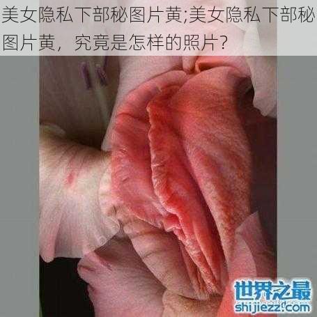 美女隐私下部秘图片黄;美女隐私下部秘图片黄,究竟是怎样的照片?