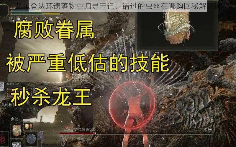艾尔登法环遗落物重归寻宝记:错过的虫丝在哪购回秘解之谜