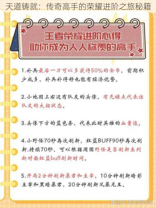 天道铸就:传奇高手的荣耀进阶之旅秘籍