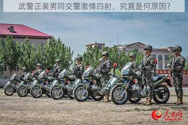 武警正装男同交警激情四射,究竟是何原因?