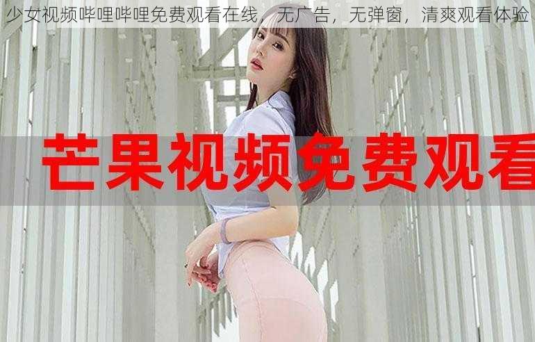 少女视频哔哩哔哩免费观看在线,无广告,无弹窗,清爽观看体验