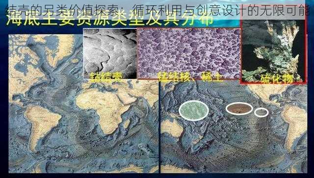 结壳的另类价值探索:循环利用与创意设计的无限可能