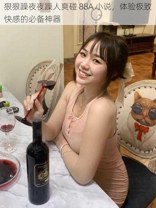 狠狠躁夜夜躁人爽碰 88A 小说,体验极致快感的必备神器