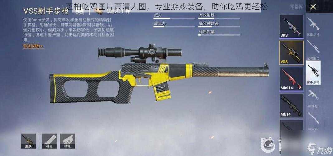 芝柏吃鸡图片高清大图,专业游戏装备,助你吃鸡更轻松