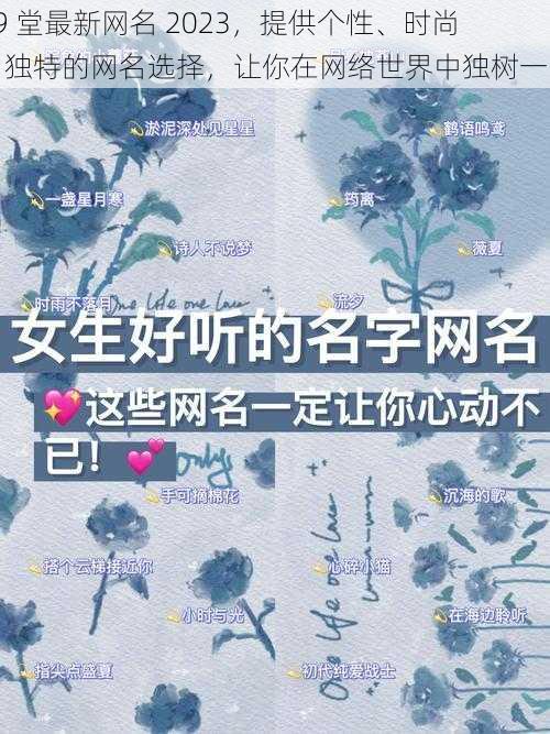69 堂最新网名 2023,提供个性、时尚、独特的网名选择,让你在网络世界中独树一帜