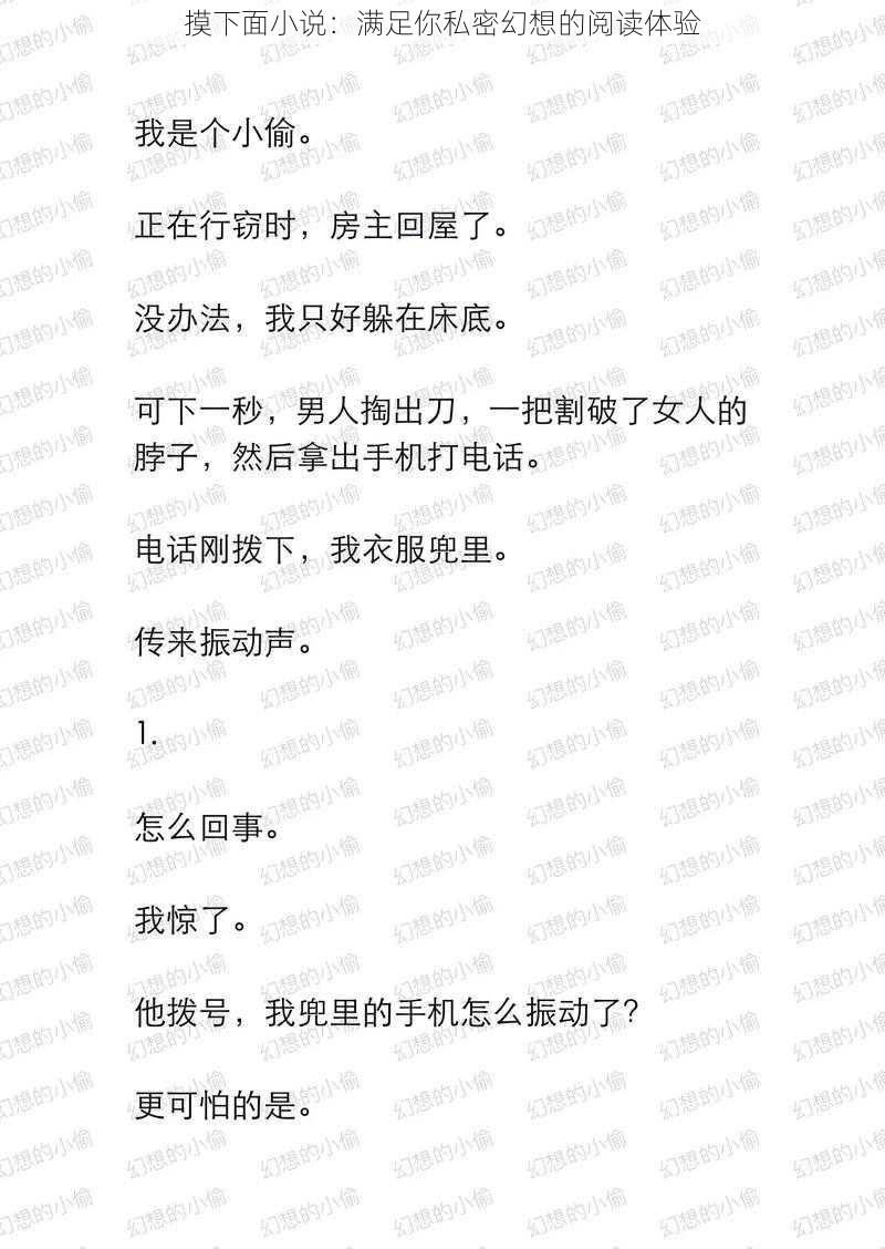 摸下面小说:满足你私密幻想的阅读体验