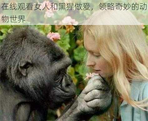 在线观看女人和黑猩做爰,领略奇妙的动物世界