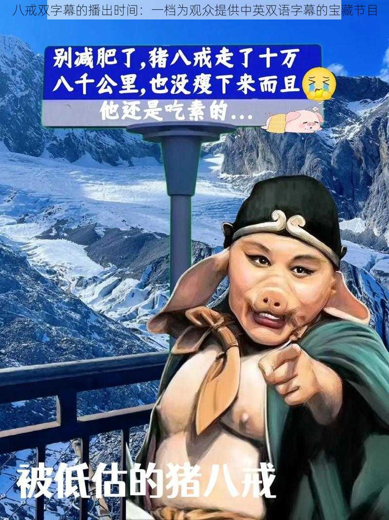 八戒双字幕的播出时间:一档为观众提供中英双语字幕的宝藏节目