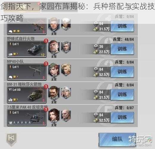 剑指天下,家园布阵揭秘:兵种搭配与实战技巧攻略