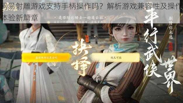网易射雕游戏支持手柄操作吗?解析游戏兼容性及操作体验新篇章