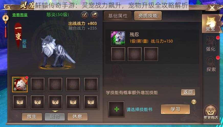 轩辕传奇手游:灵宠战力飙升,宠物升级全攻略解析