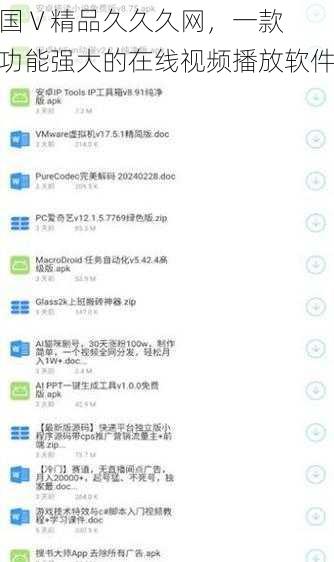 国 V 精品久久久网,一款功能强大的在线视频播放软件