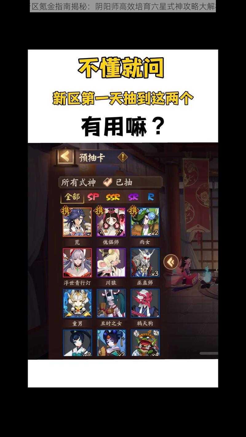 新区氪金指南揭秘:阴阳师高效培育六星式神攻略大解析