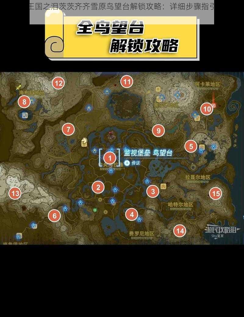 塞尔达王国之泪茨茨齐齐雪原鸟望台解锁攻略:详细步骤指引你的探险之旅