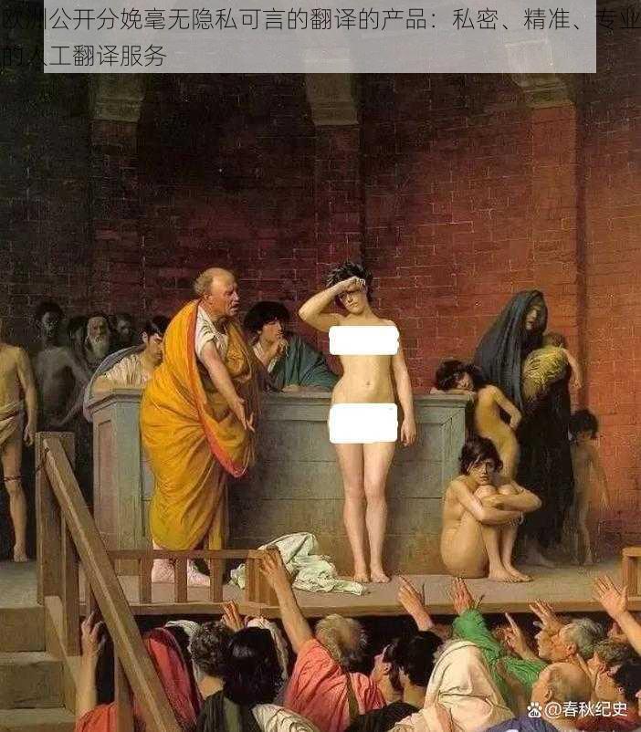 欧洲公开分娩毫无隐私可言的翻译的产品:私密、精准、专业的人工翻译服务