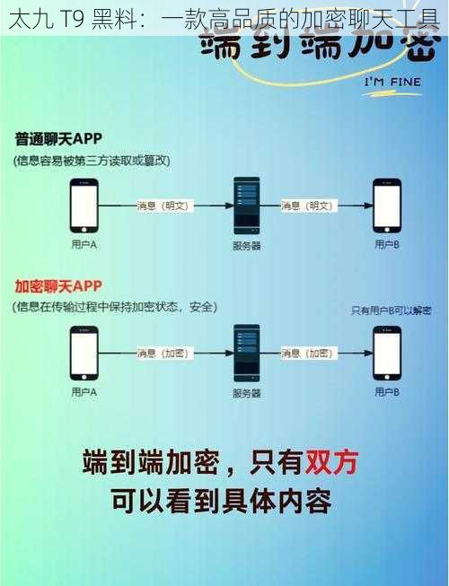 太九 T9 黑料:一款高品质的加密聊天工具