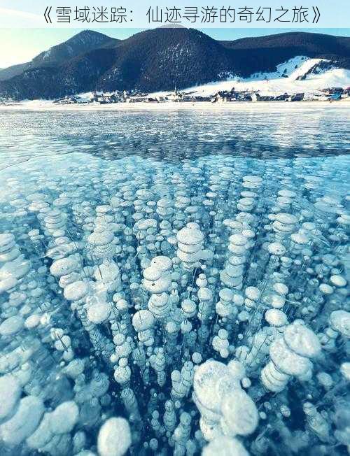 《雪域迷踪:仙迹寻游的奇幻之旅》
