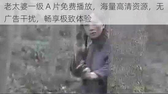 老太婆一级 A 片免费播放,海量高清资源,无广告干扰,畅享极致体验