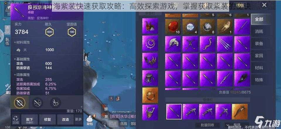 妄想山海紫装快速获取攻略:高效探索游戏,掌握获取紫装的秘诀