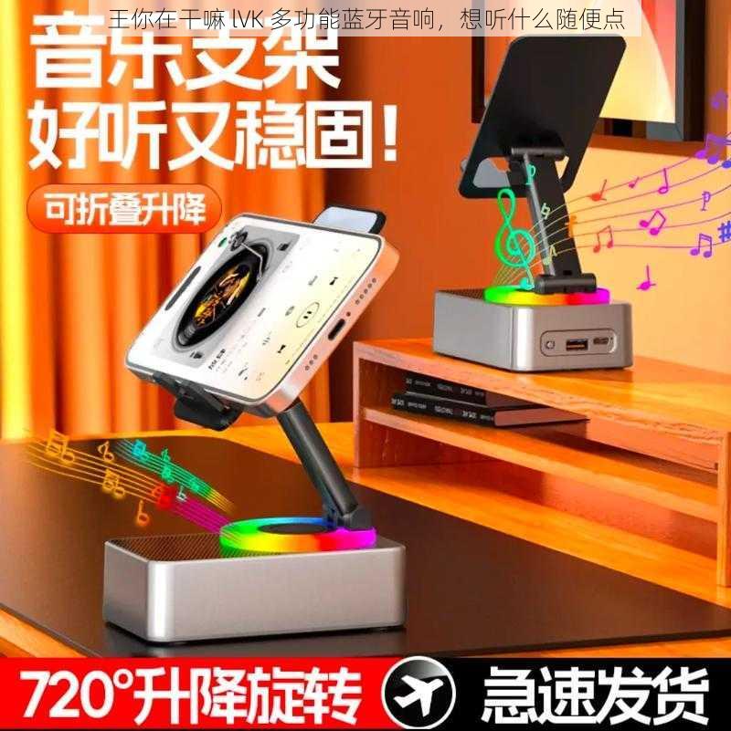 王你在干嘛 lVK 多功能蓝牙音响,想听什么随便点