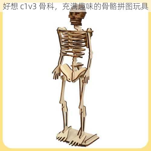 好想 c1v3 骨科,充满趣味的骨骼拼图玩具