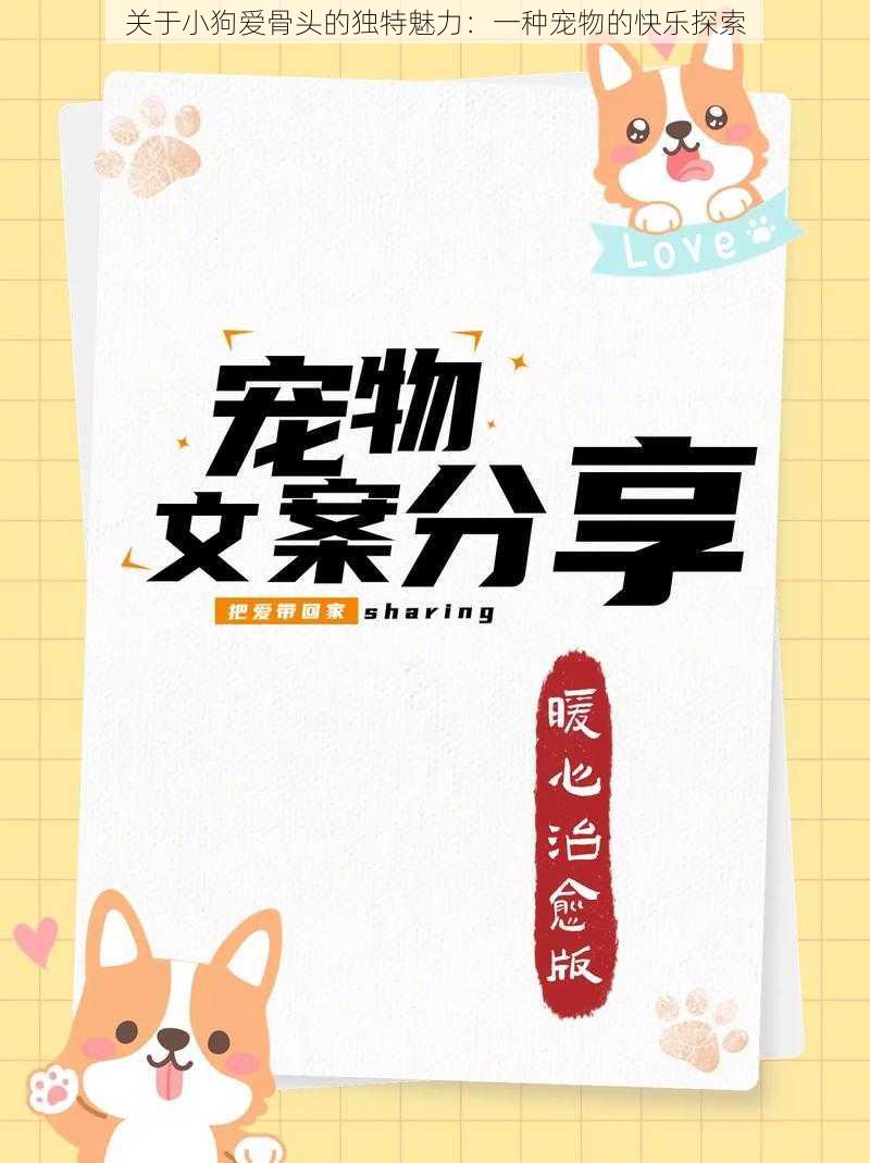 关于小狗爱骨头的独特魅力:一种宠物的快乐探索
