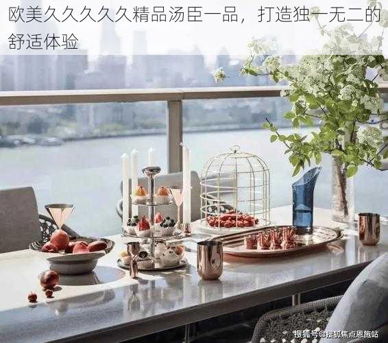欧美久久久久久精品汤臣一品,打造独一无二的舒适体验