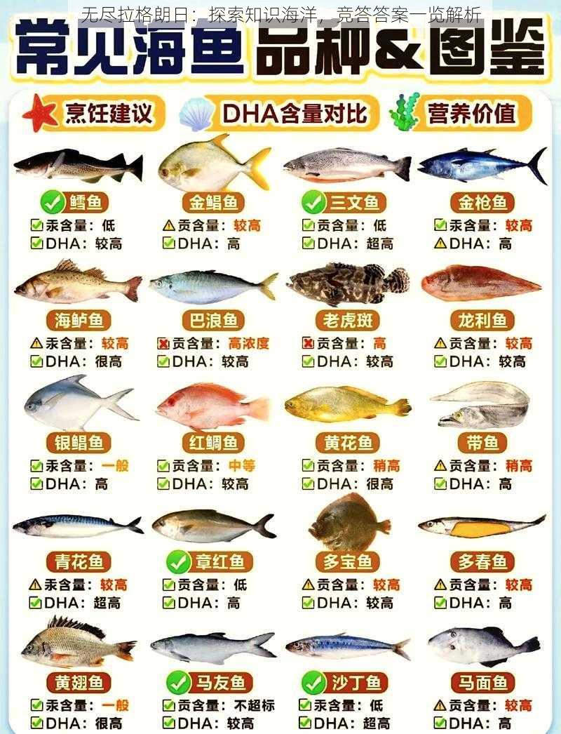 无尽拉格朗日:探索知识海洋,竞答答案一览解析