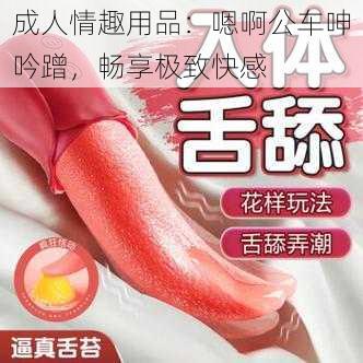 成人情趣用品:嗯啊公车呻吟蹭,畅享极致快感