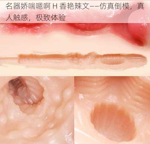 名器娇喘嗯啊 H 香艳辣文——仿真倒模,真人触感,极致体验