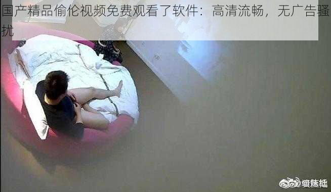 国产精品偷伦视频免费观看了软件:高清流畅,无广告骚扰