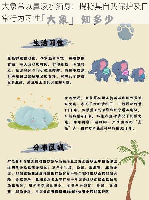 大象常以鼻汲水洒身:揭秘其自我保护及日常行为习性