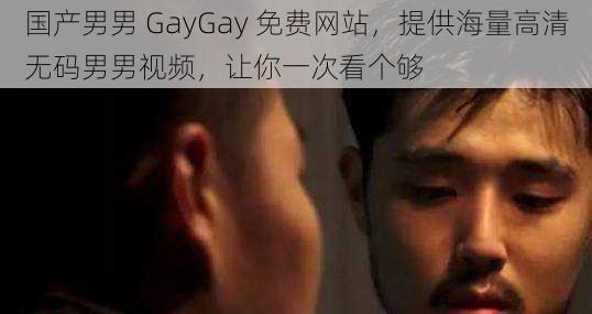 国产男男 GayGay 免费网站,提供海量高清无码男男视频,让你一次看个够