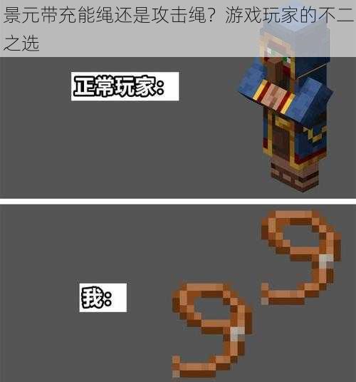 景元带充能绳还是攻击绳?游戏玩家的不二之选