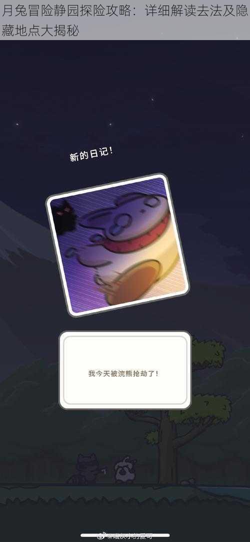 月兔冒险静园探险攻略:详细解读去法及隐藏地点大揭秘