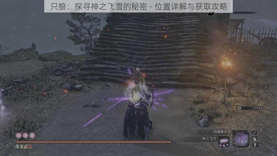 只狼:探寻神之飞雪的秘密 - 位置详解与获取攻略