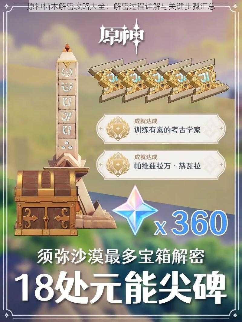 原神栖木解密攻略大全:解密过程详解与关键步骤汇总