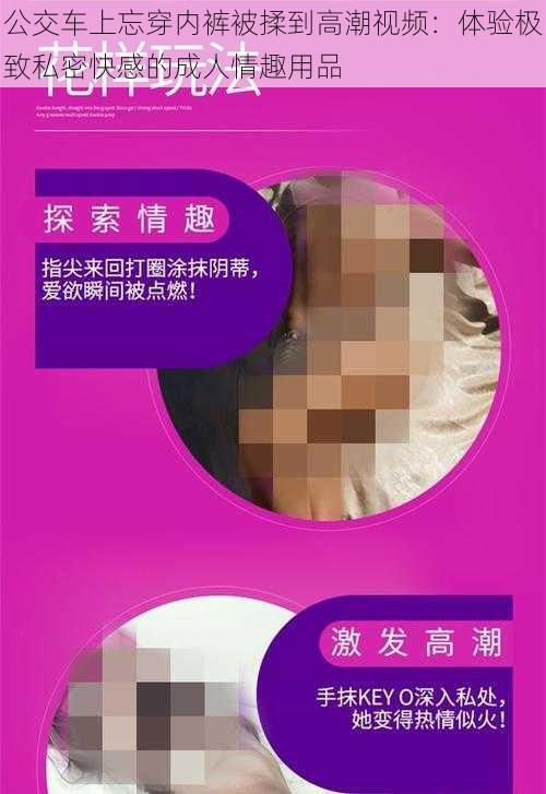 公交车上忘穿内裤被揉到高潮视频:体验极致私密快感的成人情趣用品