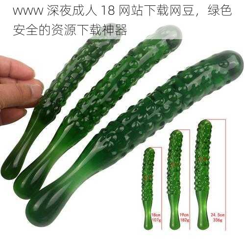 www 深夜成人 18 网站下载网豆,绿色安全的资源下载神器
