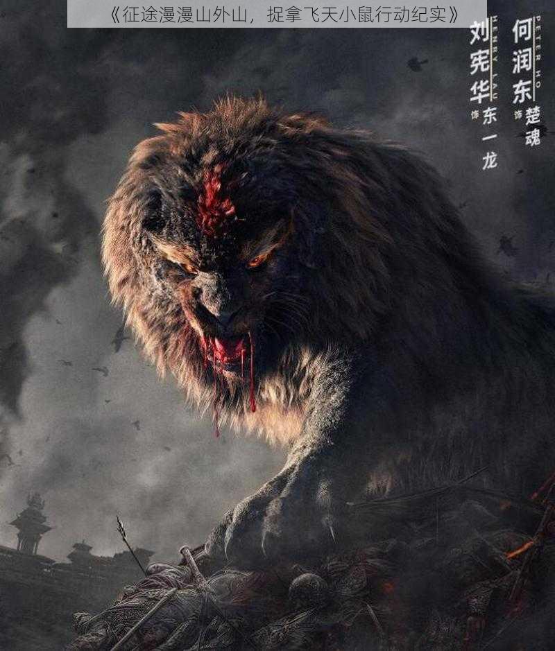 《征途漫漫山外山,捉拿飞天小鼠行动纪实》