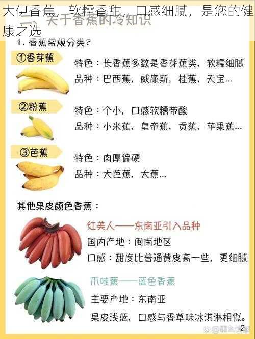 大伊香蕉,软糯香甜,口感细腻,是您的健康之选