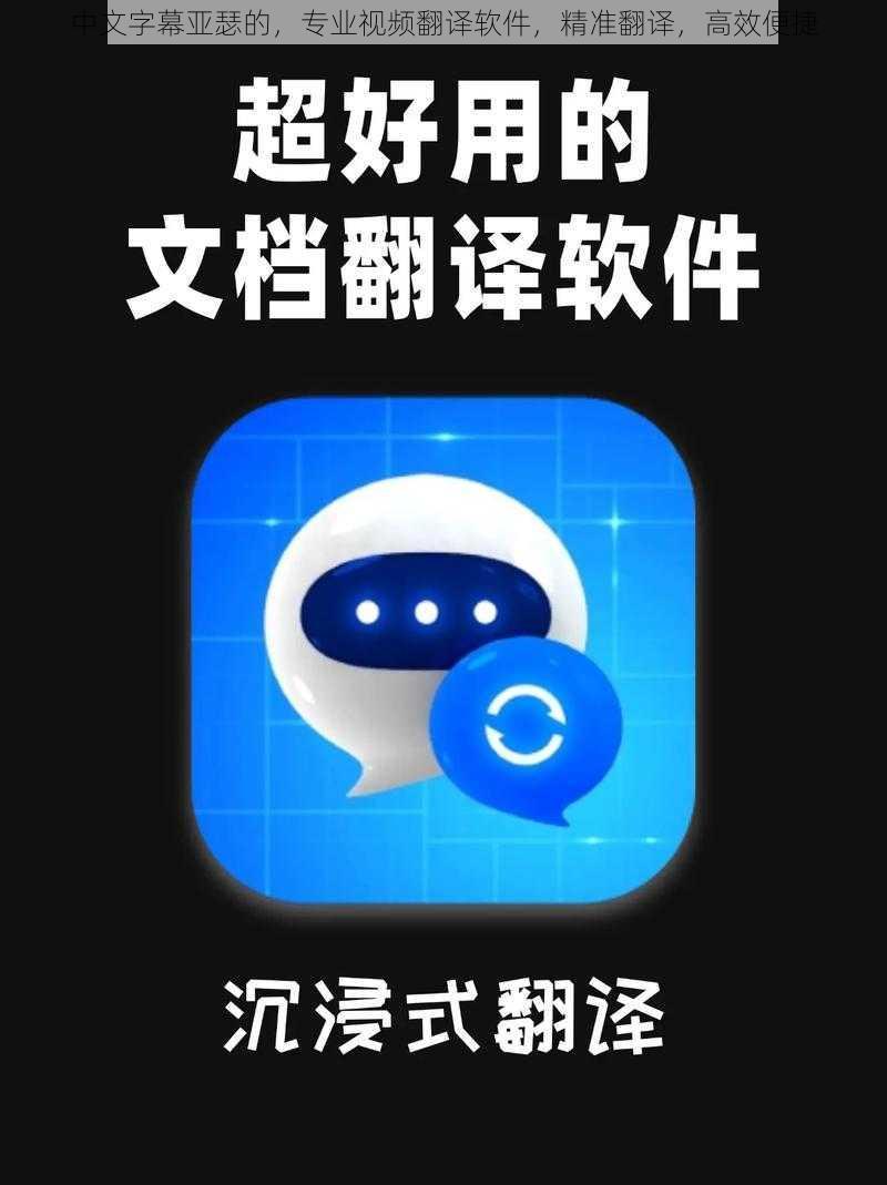 中文字幕亚瑟的,专业视频翻译软件,精准翻译,高效便捷