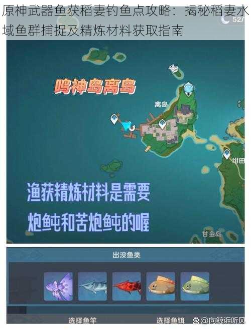 原神武器鱼获稻妻钓鱼点攻略:揭秘稻妻水域鱼群捕捉及精炼材料获取指南