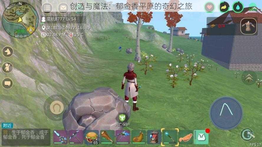 创造与魔法:郁金香平原的奇幻之旅