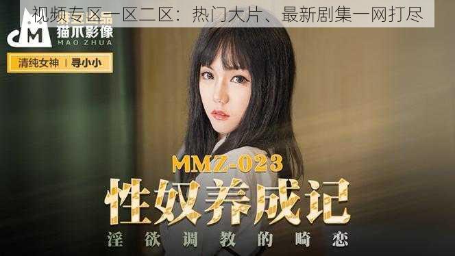 视频专区一区二区:热门大片、最新剧集一网打尽