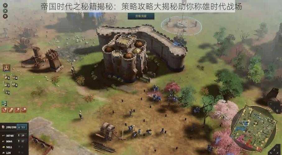 帝国时代之秘籍揭秘:策略攻略大揭秘助你称雄时代战场